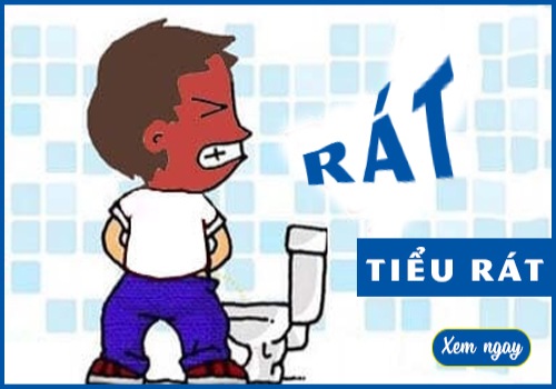 tieu-rat